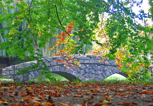 Autumn colors and bridge in pond by Trebnik Castle 