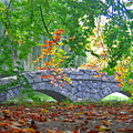 Autumn colors and bridge in pond by Trebnik Castle 