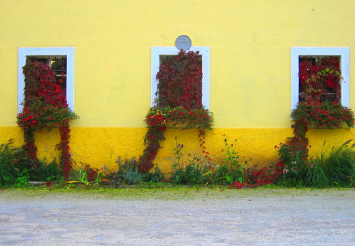 Detail of wall, Trebnik Castle