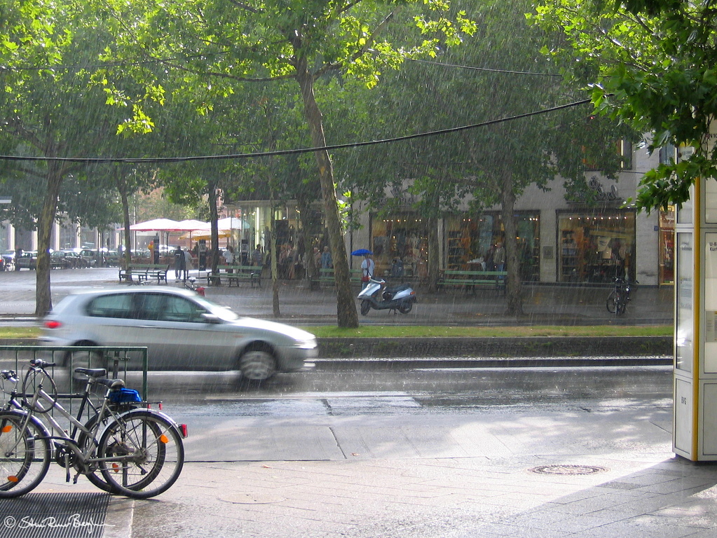 IMG_0318 copy.jpg