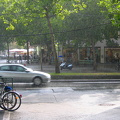 IMG_0318 copy.jpg