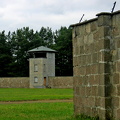 IMG_0367 copy.jpg