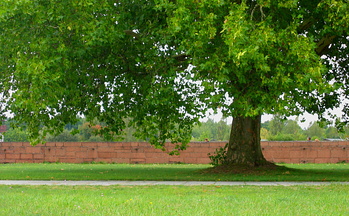 IMG_0379 copy2.jpg
