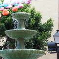IMG_0645