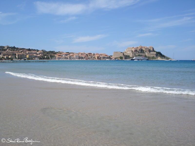 The beach in Calvi with the harbour and the citadel in the background