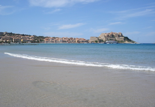 The beach in Calvi with the harbour and the citadel in the background