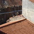 Massive amounts of antennaes decorate the roof tops of Calvi