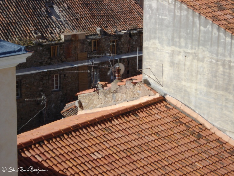 Massive amounts of antennaes decorate the roof tops of Calvi