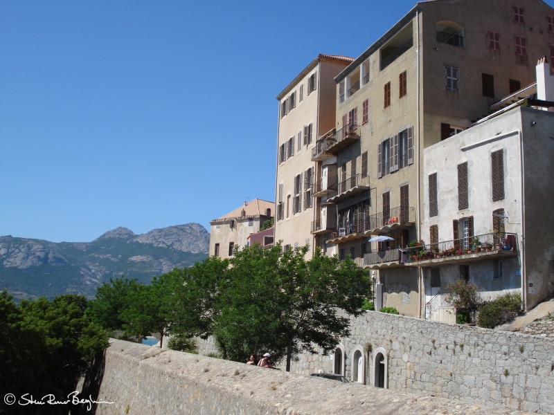 Houses on the eastern side of the Calvi citadel