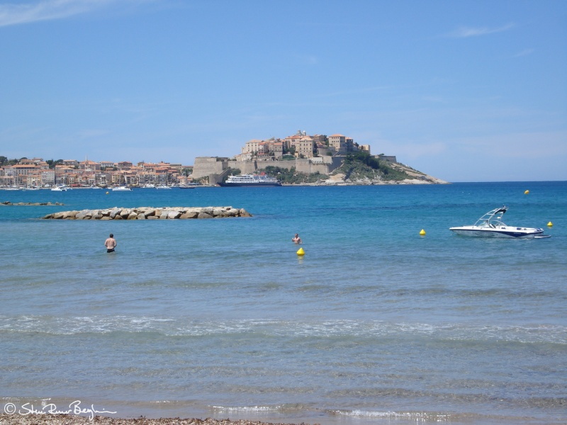 The Calvi citadel as seen from the beach