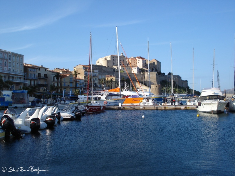 Calvi harbour