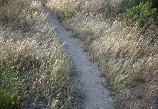 DSC00182