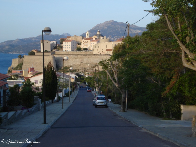 DSC00196