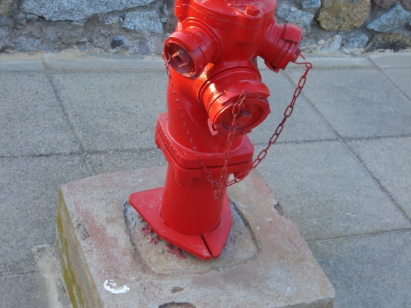 DSC00197