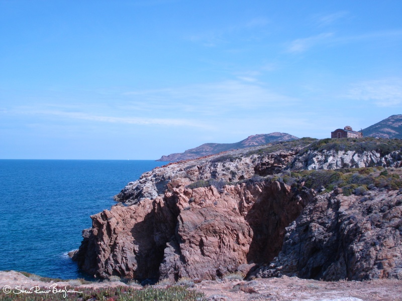 DSC00208