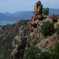 DSC00314