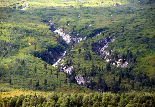 Byrkjenesgjøla