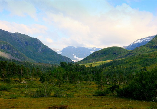 Utsikt mot Gapehaugane og Måsedalen