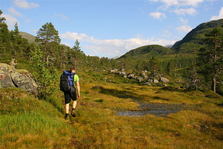 Ove på veg mot Måsedalen