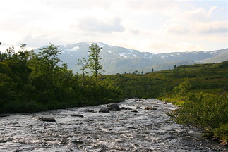 Måsedalselva