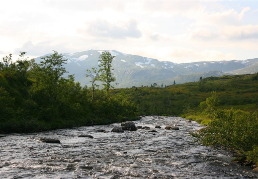 Måsedalselva