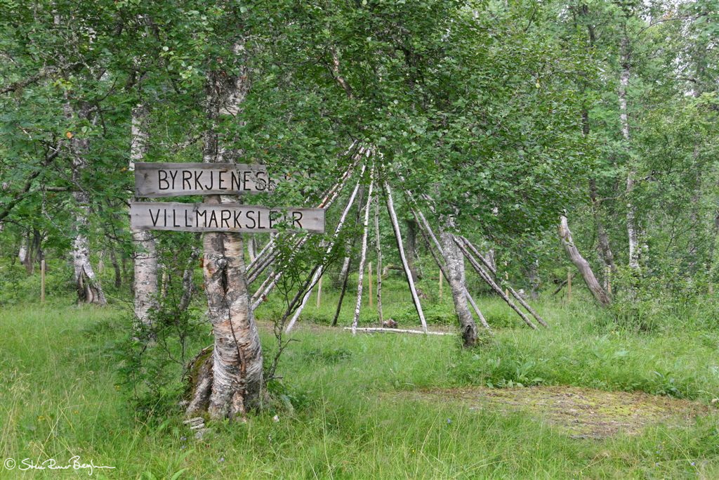 "Byrkjeneset Villmarksleir"