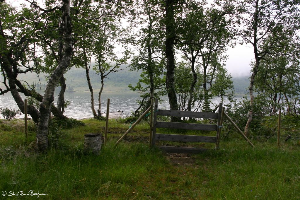Innhegninga ved "Byrkjeneset Villmarksleir"