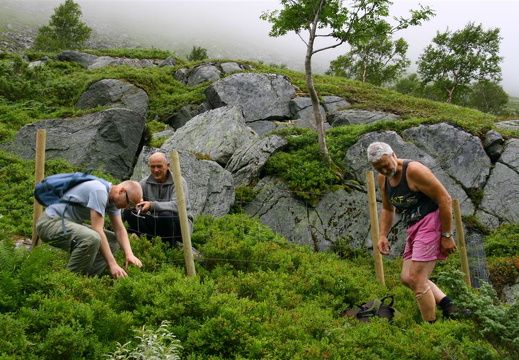Anders, Ole Johs. og Rune et blåbær i Stoa