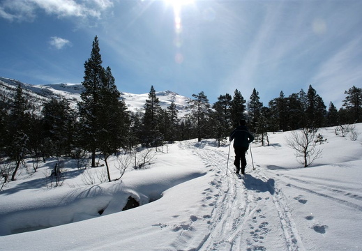 Harald i fint driv mot Mardalsstøylen