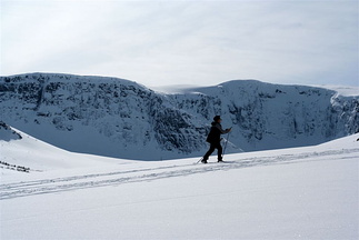 Harald framfor Tverrfjellet