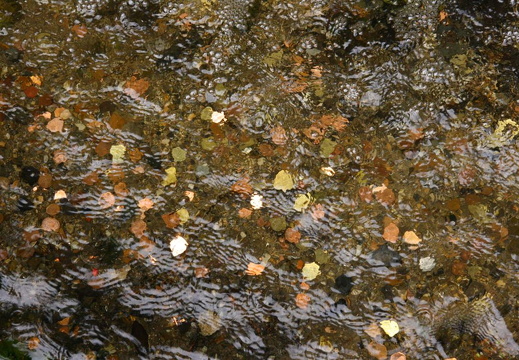 Ynskjebrunn