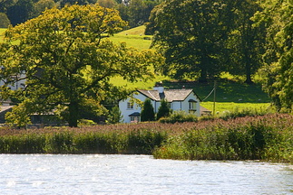 Beatrix Potter-land ved Eastwaithe Water 3