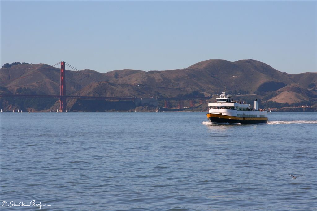 Bay cruiser passing in front of the Golden Gate bridge