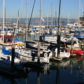 Sail boats in San Francisco harbour