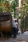 Idar by giant log in Mariposa Grove
