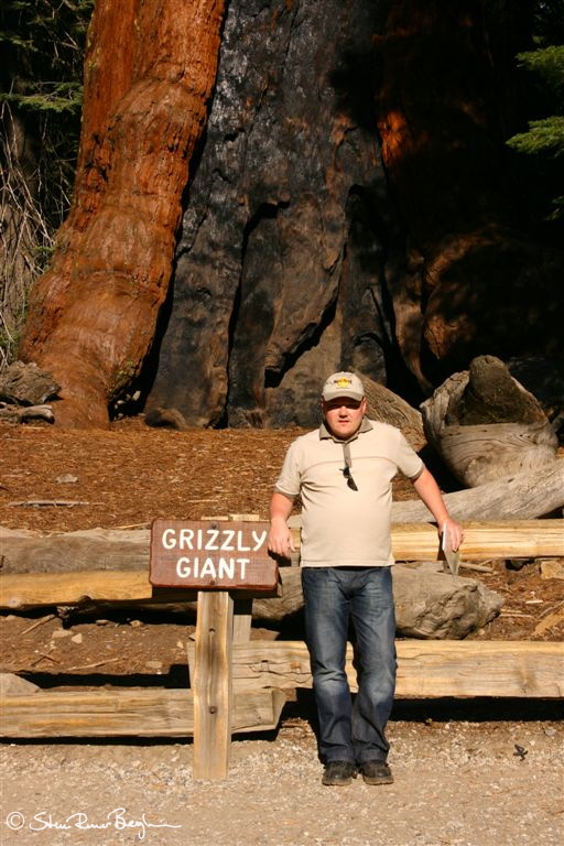 Idar in front of the Grizzly Giant sequoia