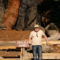 Idar in front of the Grizzly Giant sequoia