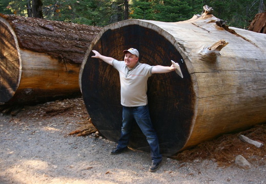 Idar doing the Leonardo DaVinci-pose to illustrate size of tree trunk