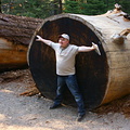 Idar doing the Leonardo DaVinci-pose to illustrate size of tree trunk