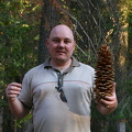 On the left: sequoia cone. On the right: pine cone.