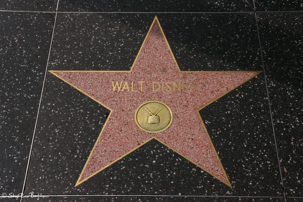 Walt Disney's star on Hollywood Walk of Fame