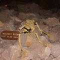 The Grand Canyon Caverns