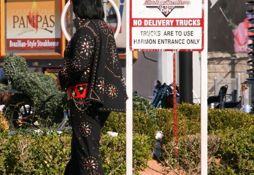Elvis, it appears, wants a taxi