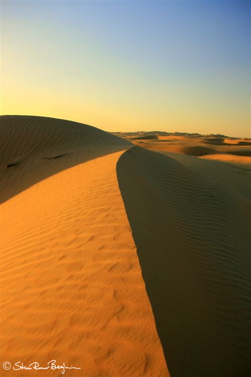 Sand dune in the desert between Abu Dhabi and Al Ain