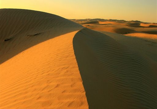 Sand dune in the desert between Abu Dhabi and Al Ain