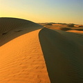 Sand dune in the desert between Abu Dhabi and Al Ain