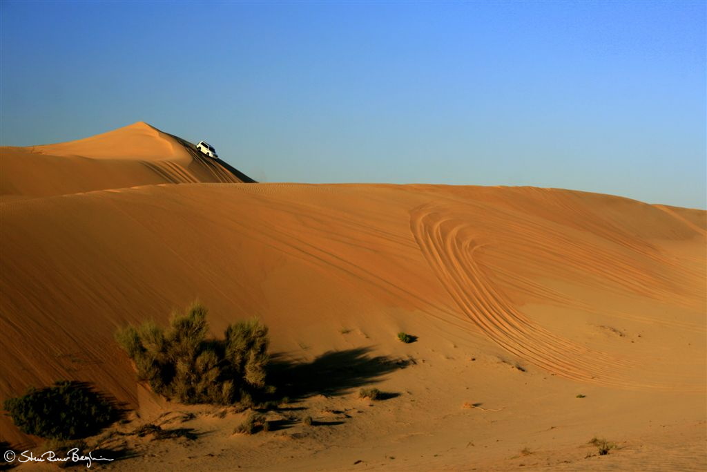 Land Cruisers on sand dune