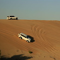 Land Cruisers on sand dune