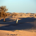Mike in the sand dunes