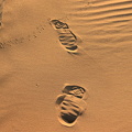 Different size footprints crossing in the sand